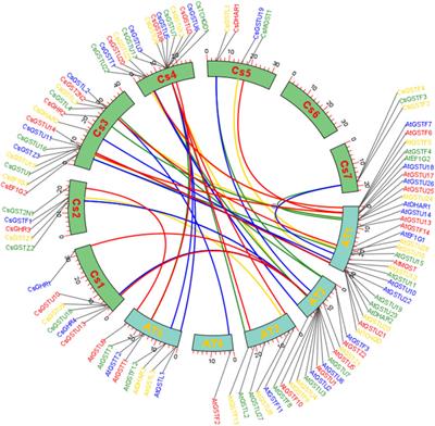 Genome-wide identification and expression analysis of glutathione S-transferase gene family to reveal their role in cold stress response in cucumber